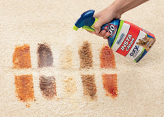 Woolite® INSTAclean® Pet Stain Remover (2-Pk) & 1 Stomp 'n Go® Pet Stain Lifting Pad